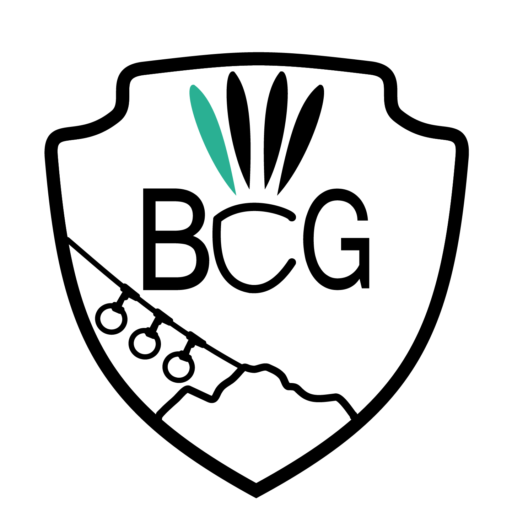 BCG 38